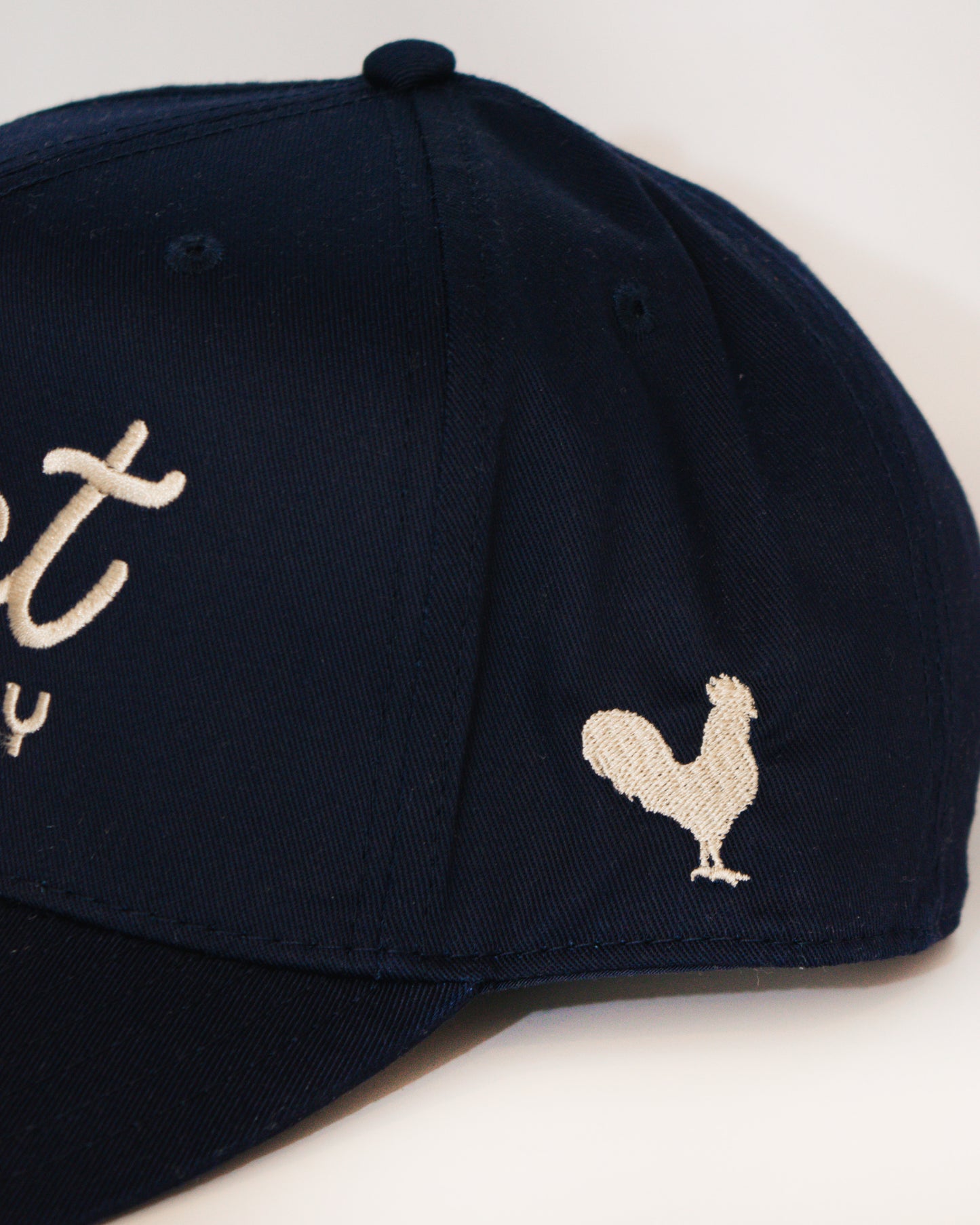 Roost Supply All Blue Logo Hat
