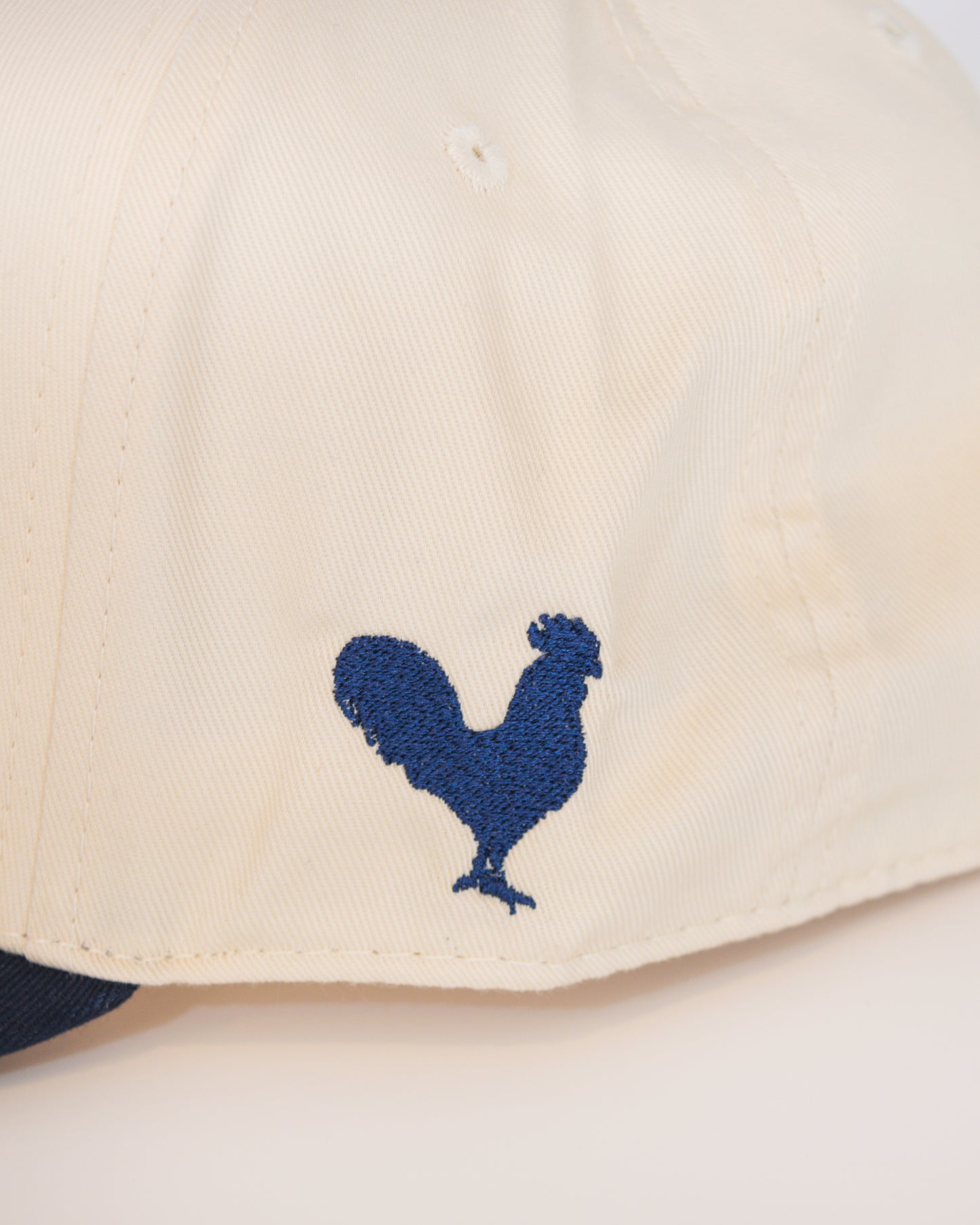 Roost Supply Blue Logo Hat